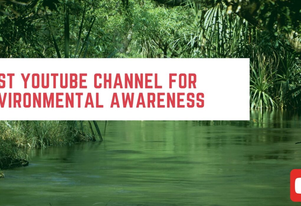 Best YouTube Channels for Environmental Awareness