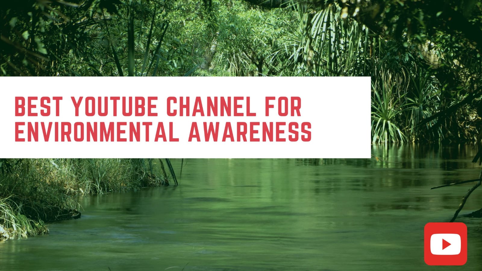 Best YouTube Channels for Environmental Awareness